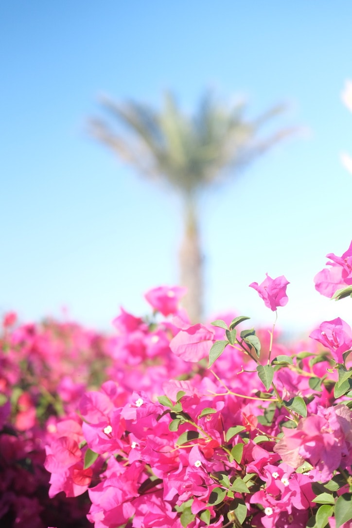Graphic depicting a hexagonal cropped photo of an interior room design with grid lines along its borders.